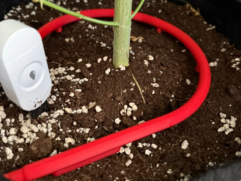 Bewässerungsring 8mm Schlauch HomeGrow