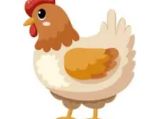 chicken
