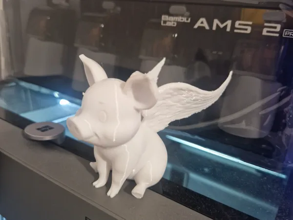 https://makerworld.bblmw.com/makerworld/model/DSM00000002146583/design/2025-12-22_69e4d3e4571178.jpg