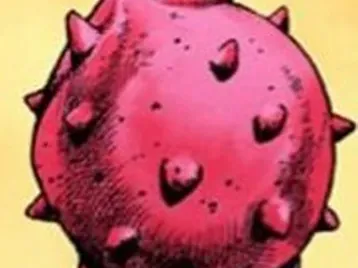 Rokakaka