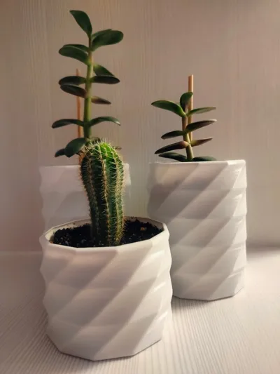 Pot for home plants
