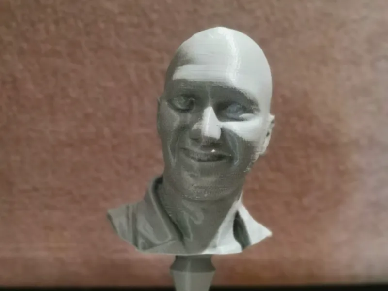 BUST 1