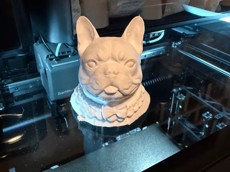French bulldog model, white canvas