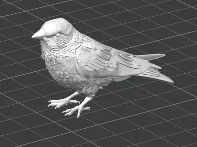 Bullfinch Detailed 3D