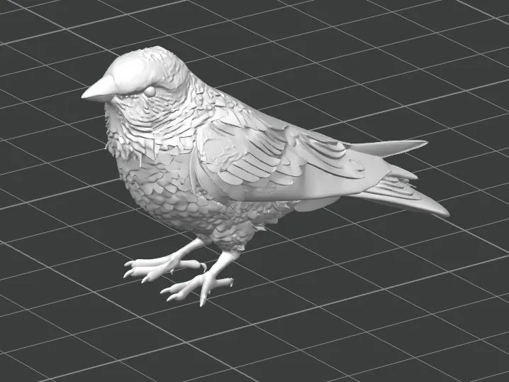 Bullfinch Detailed 3D