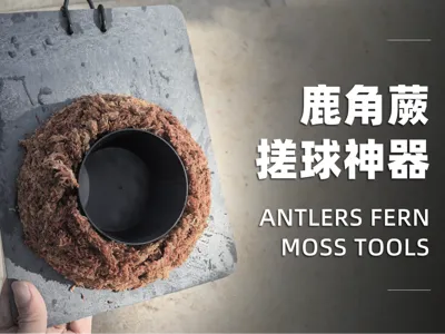 Staghorn Fern Ball Making Artifact Flat Ball Tool Mounting Tool Ball Rolling Tool Sphagnum Moss Mounting Tool Mounting Mold 