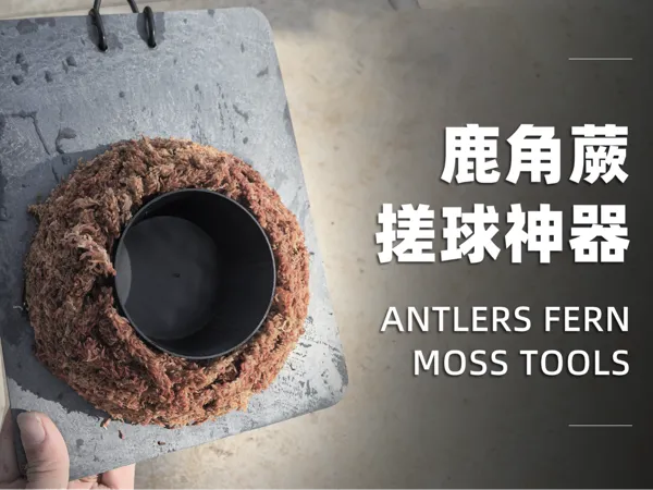 https://makerworld.bblmw.com/makerworld/model/DSM00000002150808/design/2025-12-24_498b8cfdb375.jpg