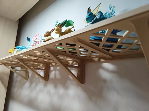 https://makerworld.bblmw.com/makerworld/model/DSM00000002152546/design/2025-03-07_80efbe9658149.jpg