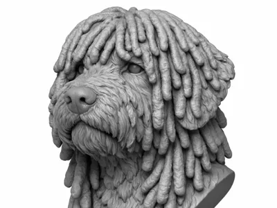 SPANISH WATER DOG BUST