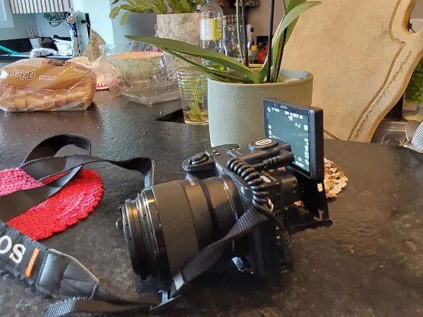 https://makerworld.bblmw.com/makerworld/model/DSM00000002159639/design/2025-12-26_3b5f15b0cbf3d.jpg