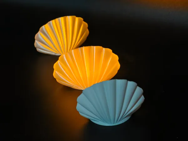 https://makerworld.bblmw.com/makerworld/model/DSM00000002159872/design/2025-12-26_f97151a96e4c58.jpg