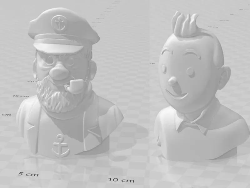 BUSTE TINTIN / HADDOCK