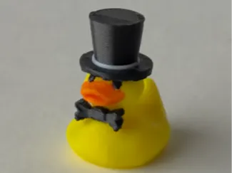 Cool Duck