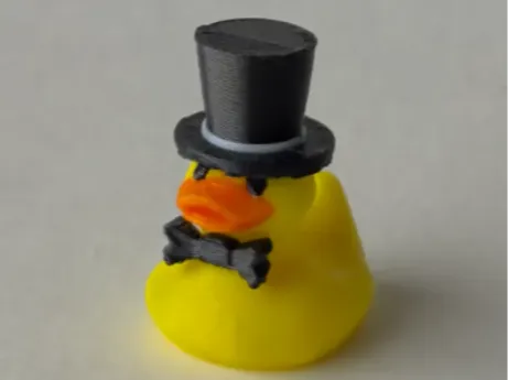 Cool Duck