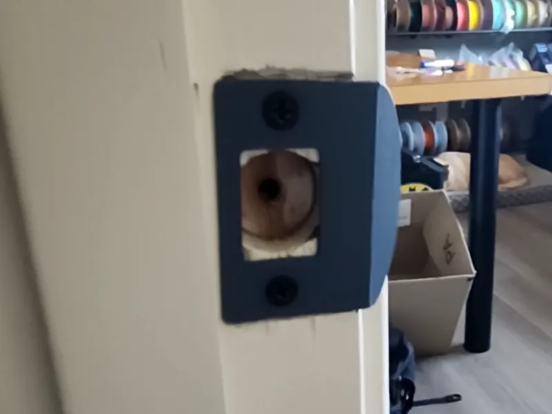 Door Strike Plate (Customizable)