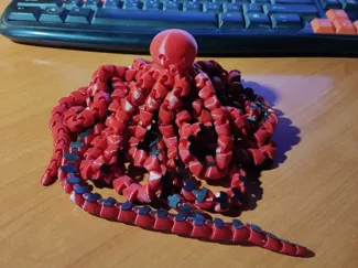 BIG Octopus