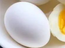 EGG