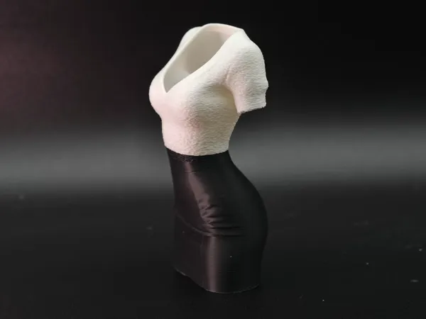 https://makerworld.bblmw.com/makerworld/model/DSM00000002161908/design/2025-12-27_4f60e8305b7cd.jpg