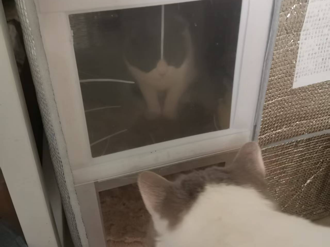 猫窝(自由拼接大小)
