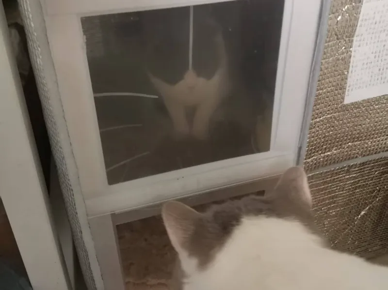 猫窝(自由拼接大小)