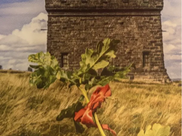 Holcombe Tower