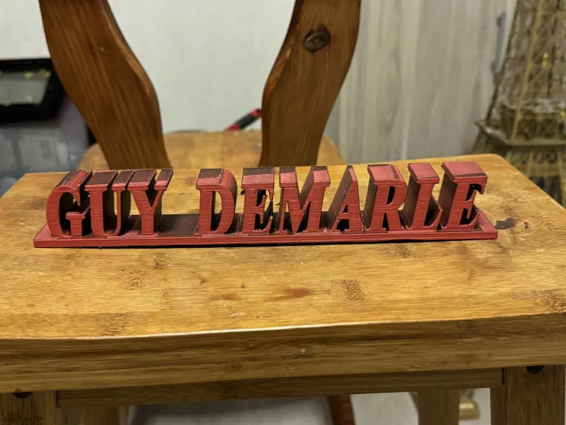 logo guy demarle