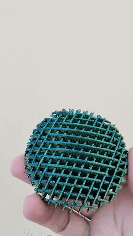 Fidget oval Worm