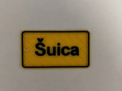 Suica pendant