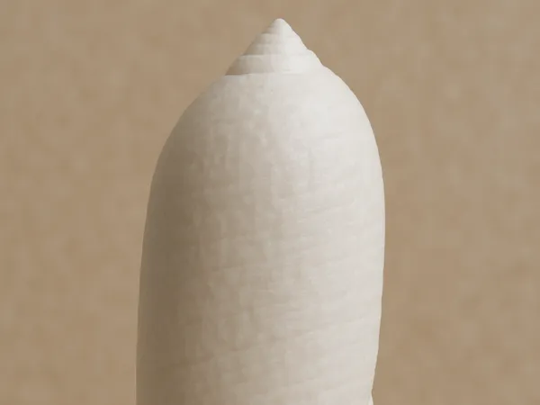 https://makerworld.bblmw.com/makerworld/model/DSM00000002165144/design/2025-12-27_38727a1a0f79c.png