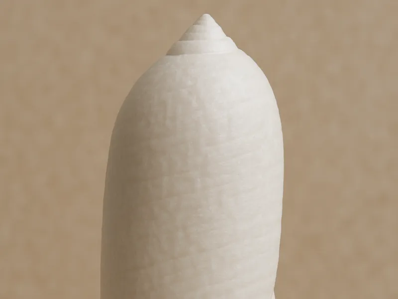 seashell 4