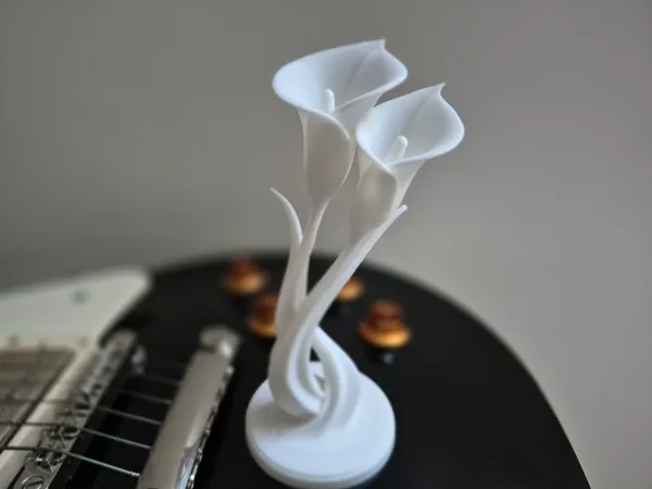https://makerworld.bblmw.com/makerworld/model/DSM00000002167234/design/2025-12-28_42d8c76f740b1.jpg
