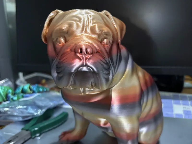 bulldog