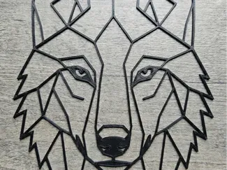 Wolf picture