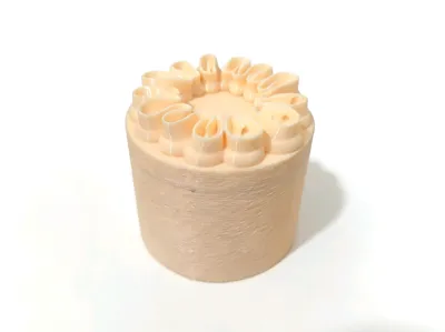 Cake Storage Box