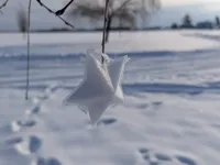 Moule à boule de neige étoilée — photo 1