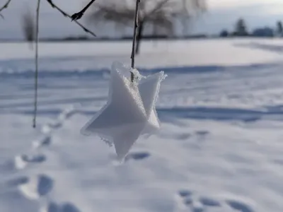 Star shaped snow ball maker!!!!!!