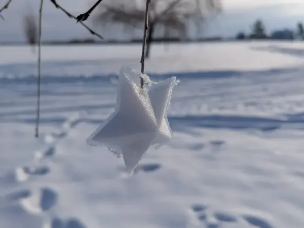 Moule à boule de neige étoilée