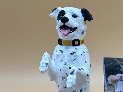 Dog on its hind legs