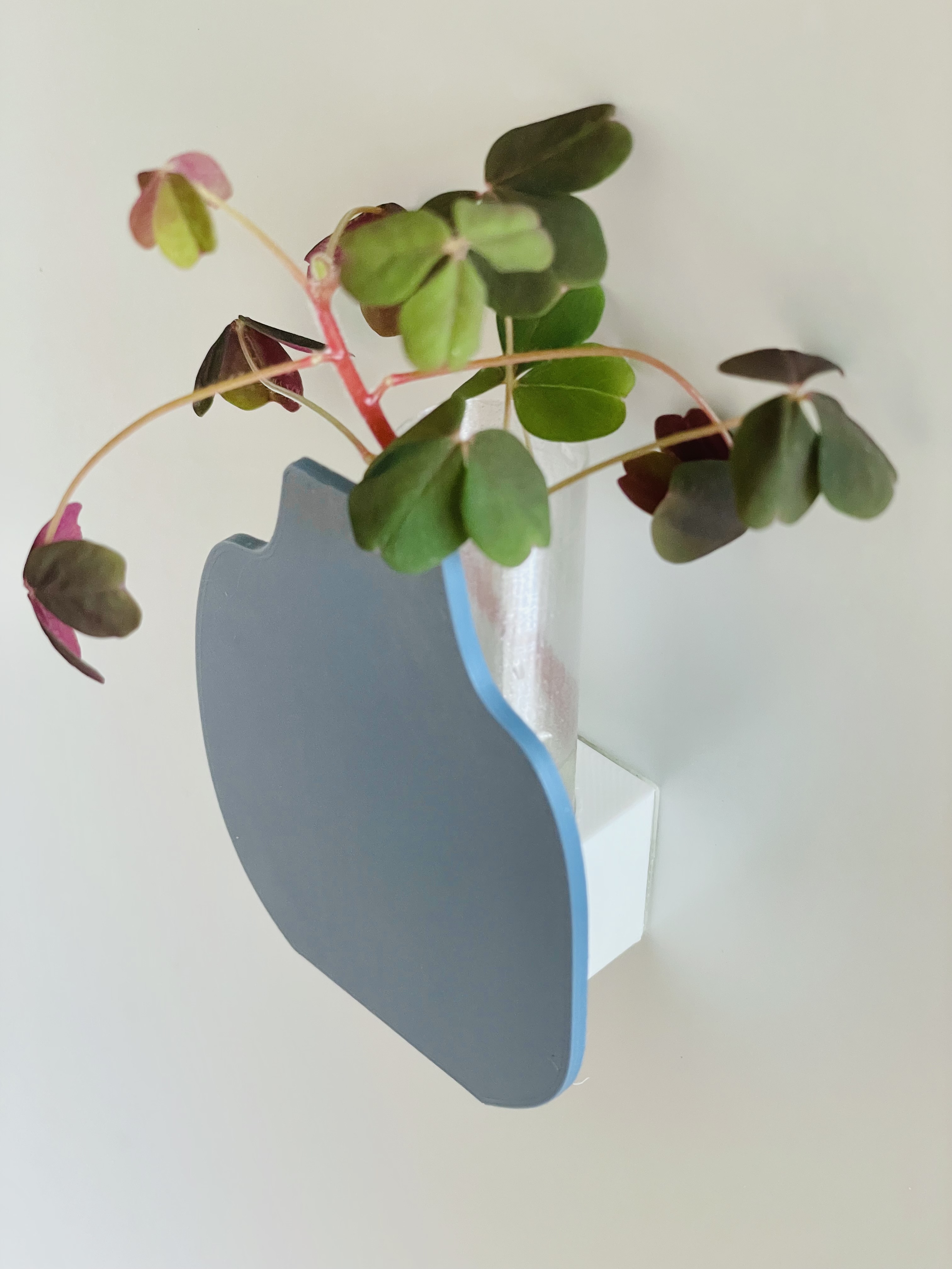Mini Flat Vase Set/Fridge Magnet/Hydroponic Vase/Decorative