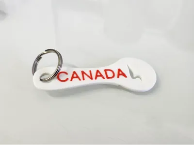 Canadian Loonie Cart Token Keychain