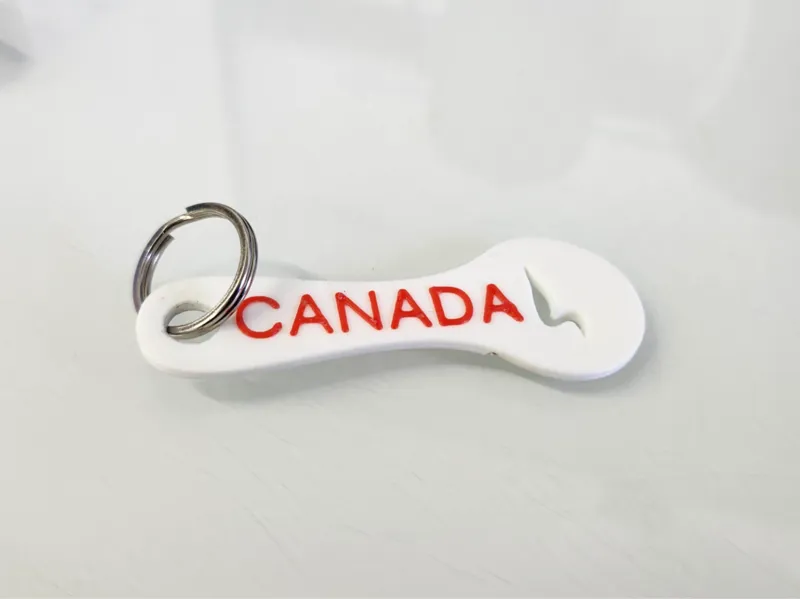 Canadian Loonie Cart Token Keychain
