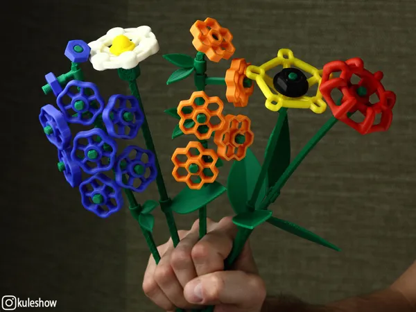 https://makerworld.bblmw.com/makerworld/model/DSM00000002177549/design/2025-12-30_73703b7624a098.jpg