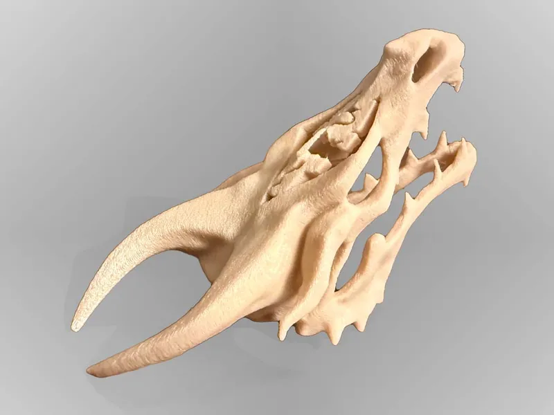 Skyrim Dragon Skull with Skyrim logo cutout