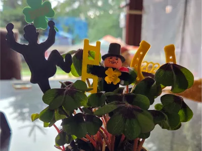 Chimney sweep with cloverleaf for New Year's Eve 2026