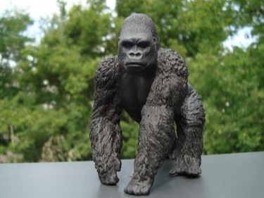 大猩猩Gorilla 金刚