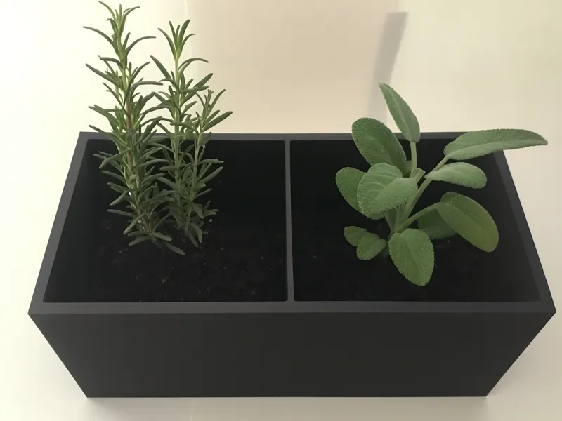 mini aromatics garden