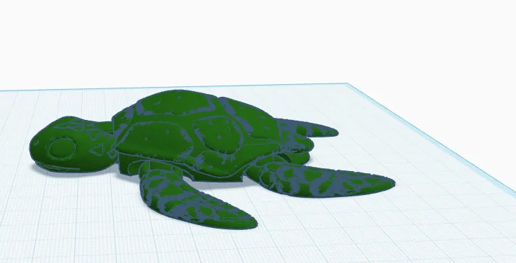 turtle