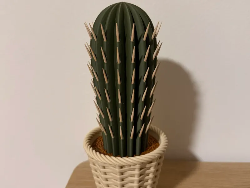 Cactus Toothpick holder