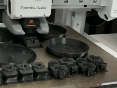 Lid struts