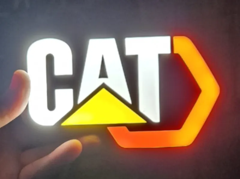 LightBox CAT logo Next Gen